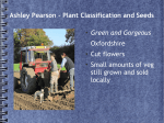 Ashley Pearson – Plant Classification and Seeds