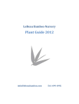 Plant Guide 2012 - LeBeau Bamboo Nursery