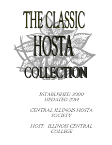Classic Hosta Collection Brochure