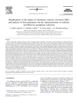 Morphometry of the organs of cherimoya (Annona cherimola Mill