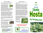 to view and print the tri-fold brochure on Growing Hostas