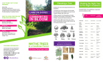 2016 Tree Brochure