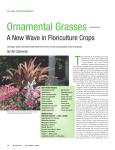 Ornamental grasses -- A new wave in floriculture crops