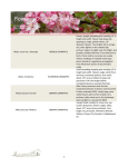 Flowering Crabapple Collection