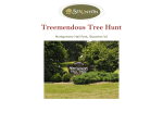 Treemendous Tree Hunt