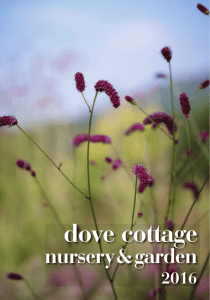 Dove Cottage Catalogue 2015