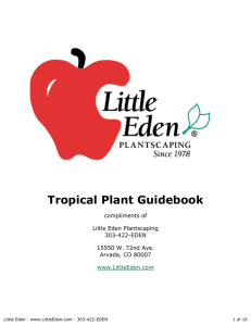303-422-EDEN - Little Eden Plantscaping