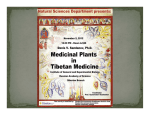 Medicinal Plants in Tibetan Medicine