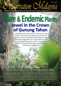 Jewel in the Crown of Gunung Tahan
