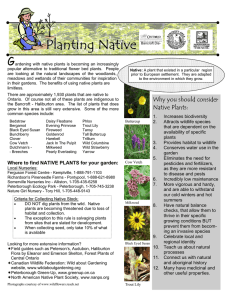 Planting Native - Bancroft Area Stewardship Council