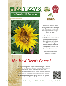 2016 - FREE - Catalog - Mizz Tizzy`s Weeds and Seeds