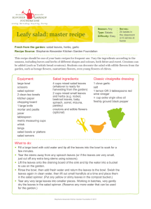 Leafy salad: master recipe