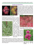 Article as PDF - Master Gardener Program