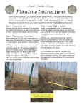 Seattle Dahlia Society Planting Instructions