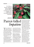 Parrot-billed Impatiens - UBC Botanical Garden Forums