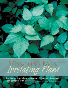Missouri`s Most Irritating Plant - Missouri Department of Conservation