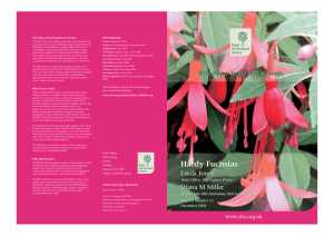 For the RHS hardy fuchsia trials bulletin click here  PDF