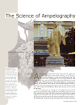 The Science of Ampelography - Fred Dex, Master Sommelier