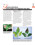 Tomato Disorders: Early Blight and Septoria Leaf Spot (A2606)