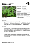 NYNHP Conservation Guide for Squashberry
