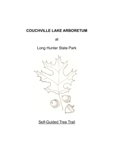 COUCHVILLE LAKE ARBORETUM at Long Hunter State Park Self