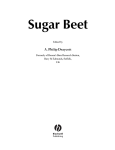 Sugar Beet - van Veen Organics