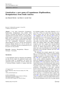 Limadendron: a new genus of Leguminosae (Papilionoideae