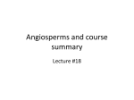 Angiosperms and course summary