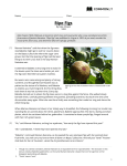 CommonLit | Ripe Figs