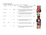2013 Rose Selections - Walter Andersen Nursery