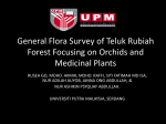 General Flora Survey of Teluk Rubiah Forest Focusing on Orchids