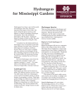 P2574 Hydrangeas For Mississippi Gardens