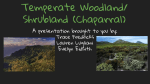 Temperate Woodland/ Shrubland (Chaparral)