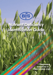 Nutrient Deficiency Identification Guide