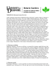 VIBURNUM (Viburnum) Genus Overview Author, plantsman and