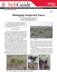 Managing Soapweed Yucca - University of Nebraska–Lincoln