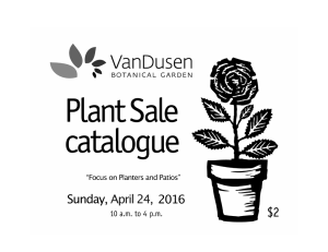Plant Sale Catalogue here - VanDusen Botanical Garden