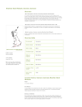 . Brazilian Giant Rhubarb, Gunnera manicata Overview Overview
