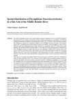 Spatial Distribution of Phytophilous Macroinvertebrates in a Side