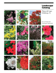 Landscape Catalog