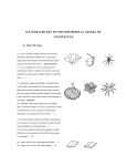 illustrated key to the neotropical genera of annonaceae