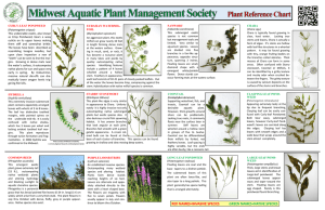 Plant ID - Midwest Aquatic Plant Management Society