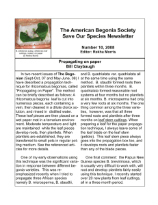 Number 10, 2008 - American Begonia Society