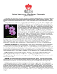 Cultural Requirements of Dendrobium