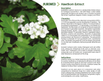 Hawthorn Extract