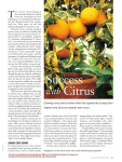 Citrus - American Horticultural Society