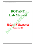 BSc.- I Biotech - DAV College Jalandhar