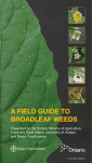 a field guide to broadleaf weeds