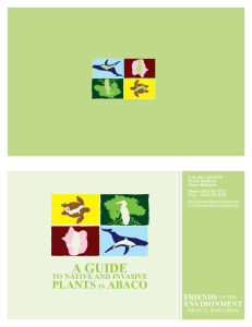 Guide to Native and Invasive Plants of Abaco