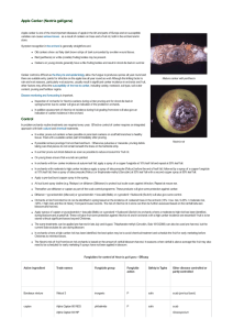 Nectria galligena - Apple Best Practice Guide